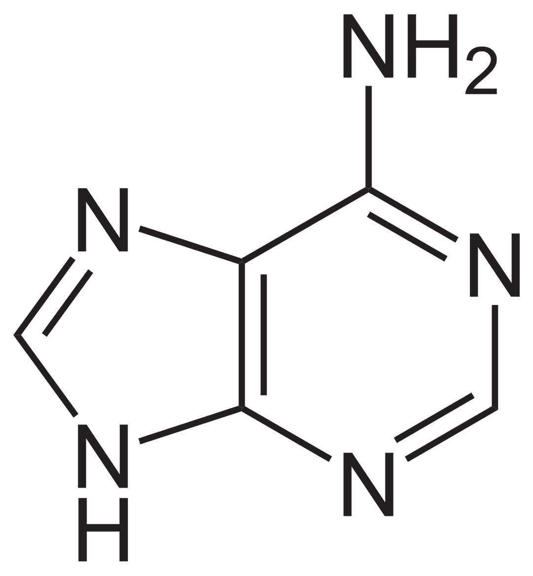 Pyrimidine — Wikipédia