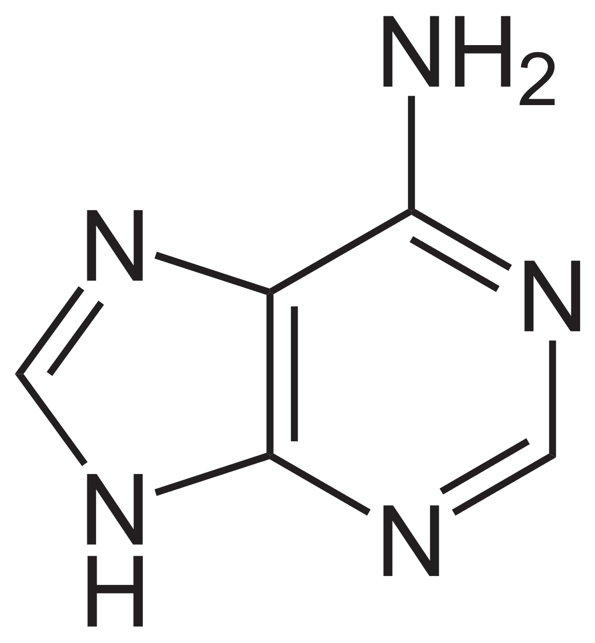 Pyrimidine — Wikipédia