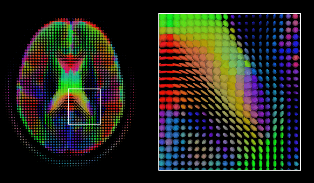 Health informatics - Wikipedia