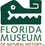 Musée d'histoire naturelle de Floride — Wikipédia