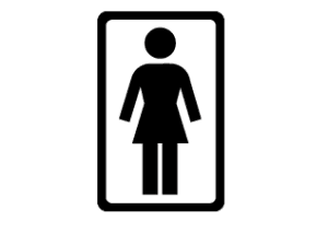 Girl Skateboards — Wikipédia