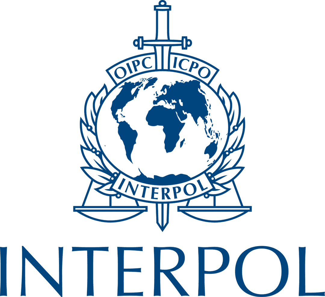 Interpol — Wikipédia